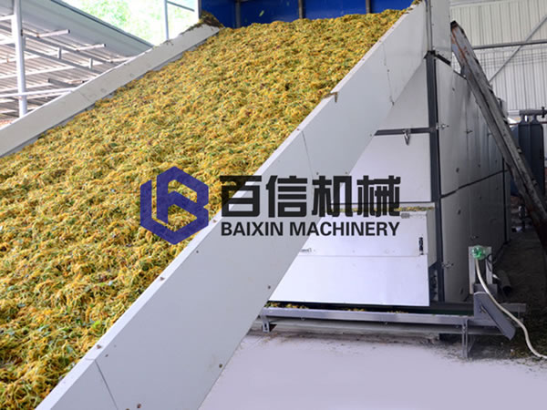 金银花烘干设备现场展示